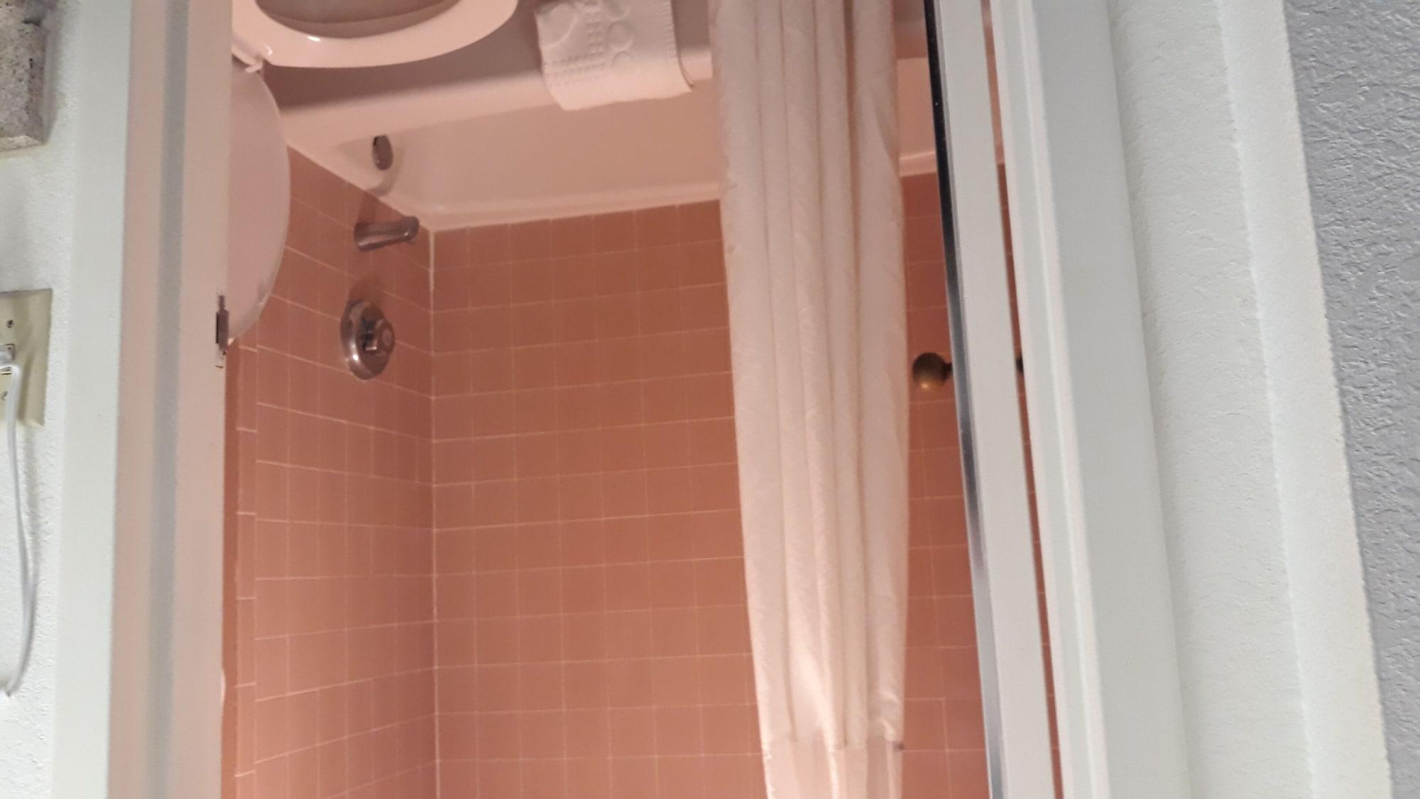 Ramada By Wyndham Temple Terrace/tampa North Hotel 3*